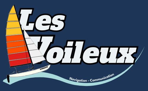 Logo Les Voileux avec un catamaran et une vague